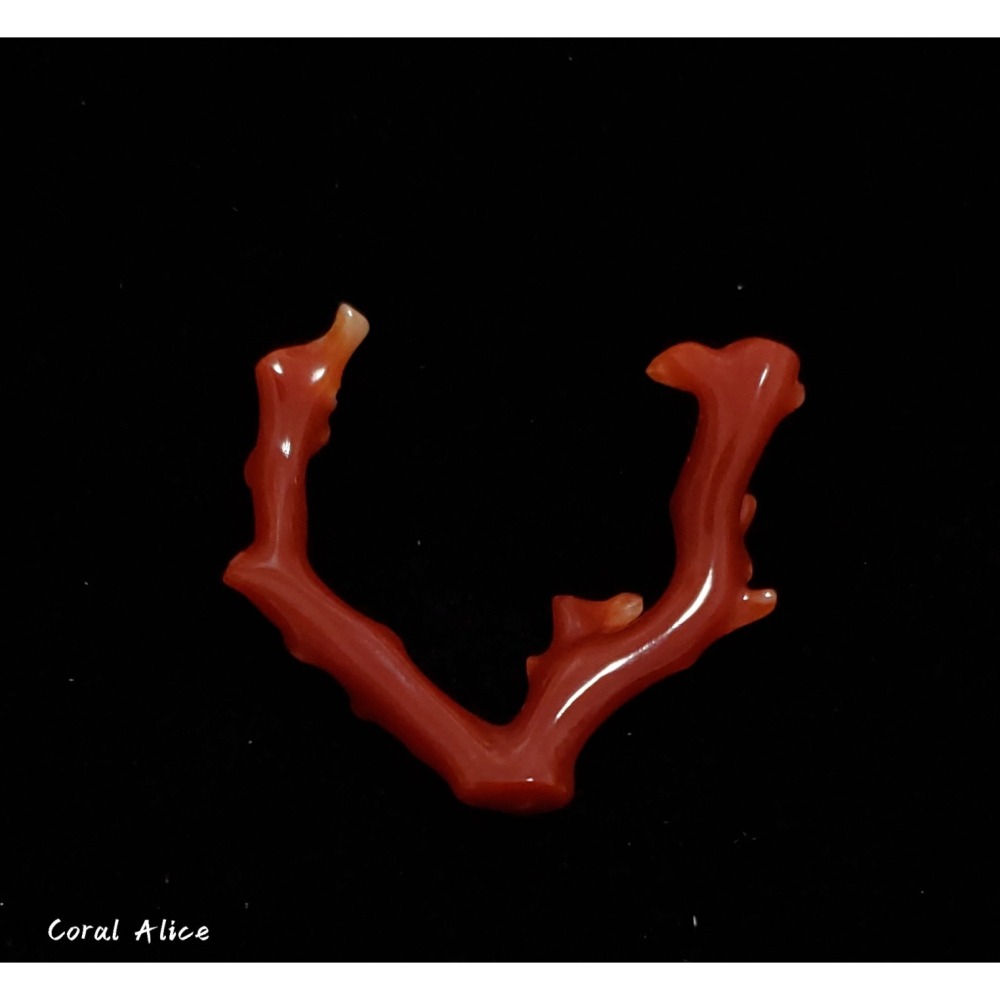 🌟Coral珊寶手作-天然阿卡珊瑚/紅珊瑚自然枝 33.7mm CO2P1-225-細節圖6