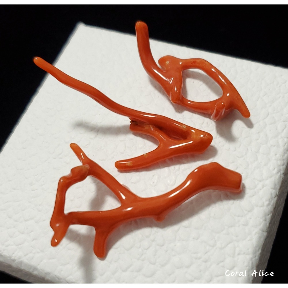 🌟Coral珊寶手作-天然沙丁珊瑚自然枝 38.5-53.0mm CO2P1-219-細節圖2