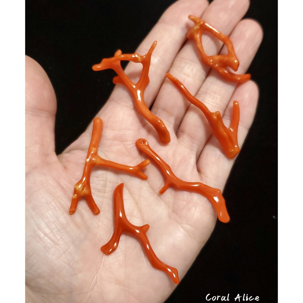 🌟Coral珊寶手作-天然沙丁珊瑚自然枝 38.5-53.0mm CO2P1-219-細節圖7