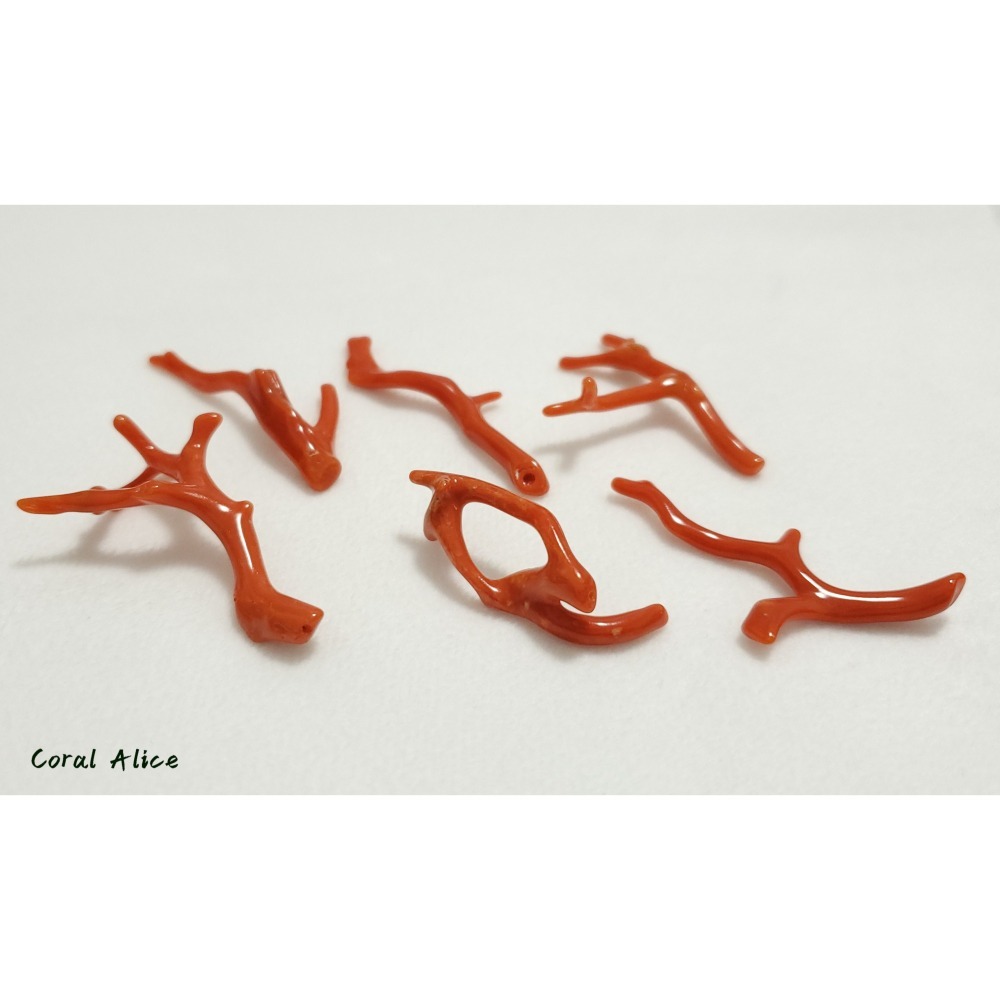 🌟Coral珊寶手作-天然沙丁珊瑚自然枝 38.5-53.0mm CO2P1-219-細節圖9