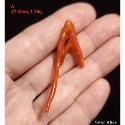 🌟Coral珊寶手作-天然沙丁珊瑚自然枝 38.5-53.0mm CO2P1-219-規格圖11