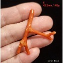 🌟Coral珊寶手作-天然沙丁珊瑚自然枝 38.5-53.0mm CO2P1-219-規格圖11