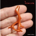🌟Coral珊寶手作-天然沙丁珊瑚自然枝 38.5-53.0mm CO2P1-219-規格圖11