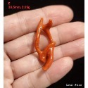🌟Coral珊寶手作-天然沙丁珊瑚自然枝 38.5-53.0mm CO2P1-219-規格圖11