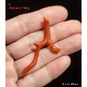 🌟Coral珊寶手作-天然沙丁珊瑚自然枝 38.5-53.0mm CO2P1-219-規格圖11
