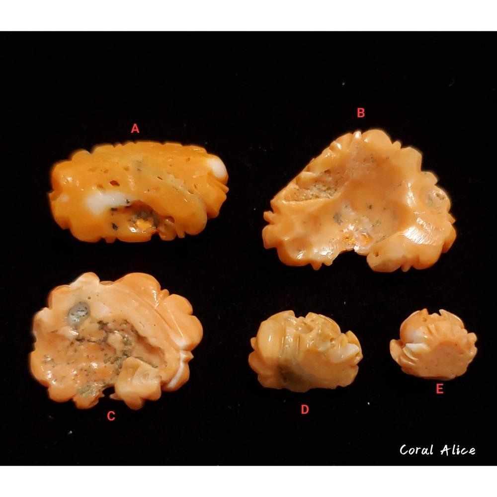 🌟Coral珊寶手作-天然momo珊瑚手工雕刻花件(無孔) CO2P1-216-細節圖4