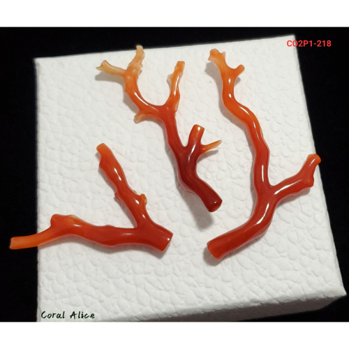 🌟Coral珊寶手作-天然阿卡珊瑚/紅珊瑚自然枝(無孔) 32.8-52.8mm CO2P1-218