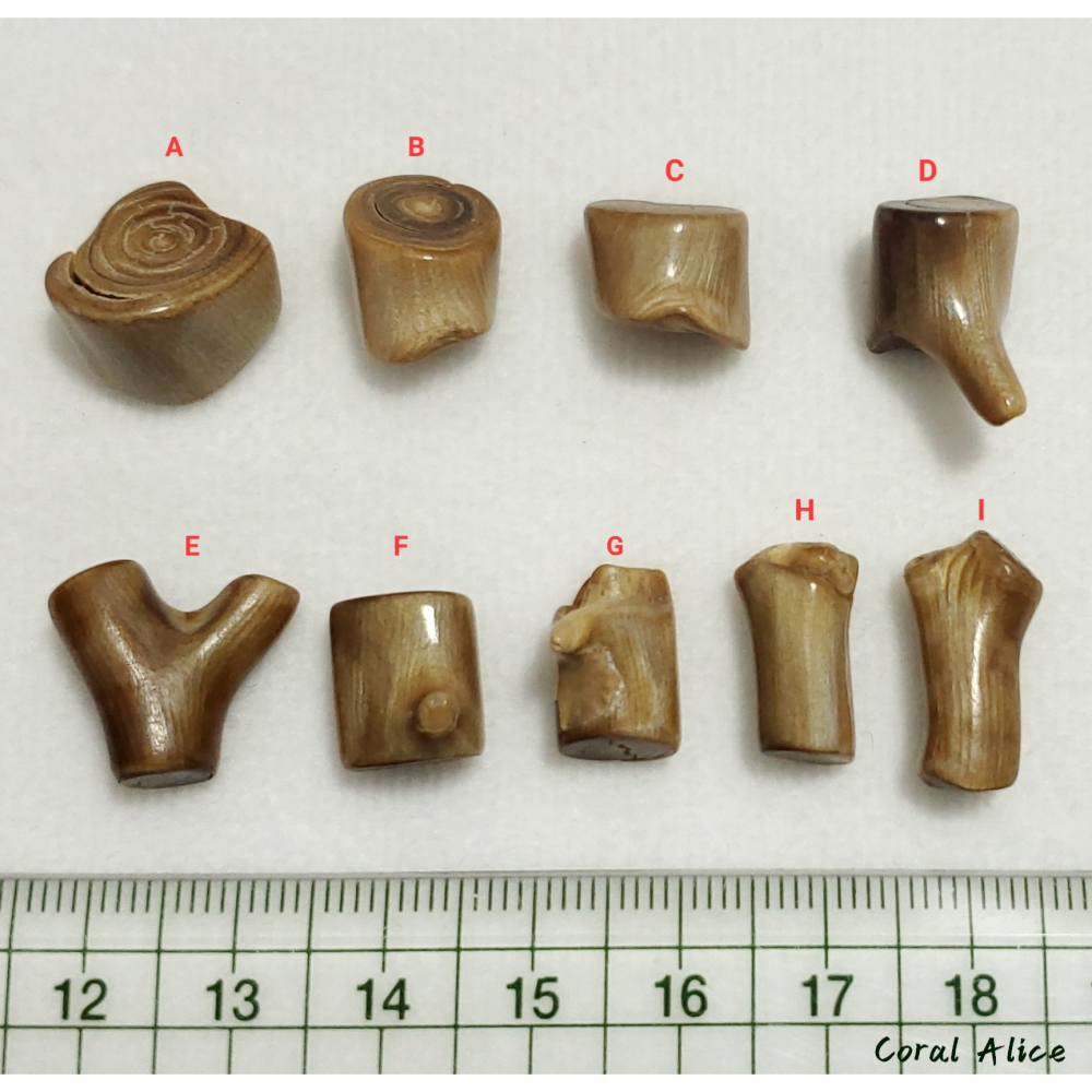 🌟Coral珊寶手作-天然夏威夷珊瑚自然枝段(無孔) CO2P1-224-細節圖11