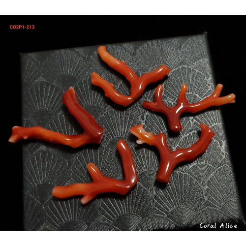 🌟Coral珊寶手作-天然阿卡珊瑚/紅珊瑚自然枝(無孔) 19.7-29.8mm CO2P1-213