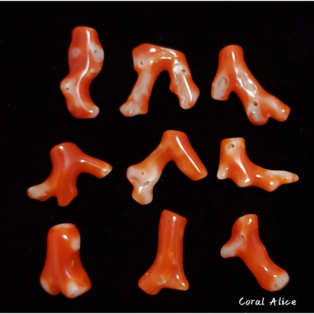 🌟Coral珊寶手作-天然阿卡珊瑚自然枝段 12.5-20.9mm CO2P1-220-細節圖4