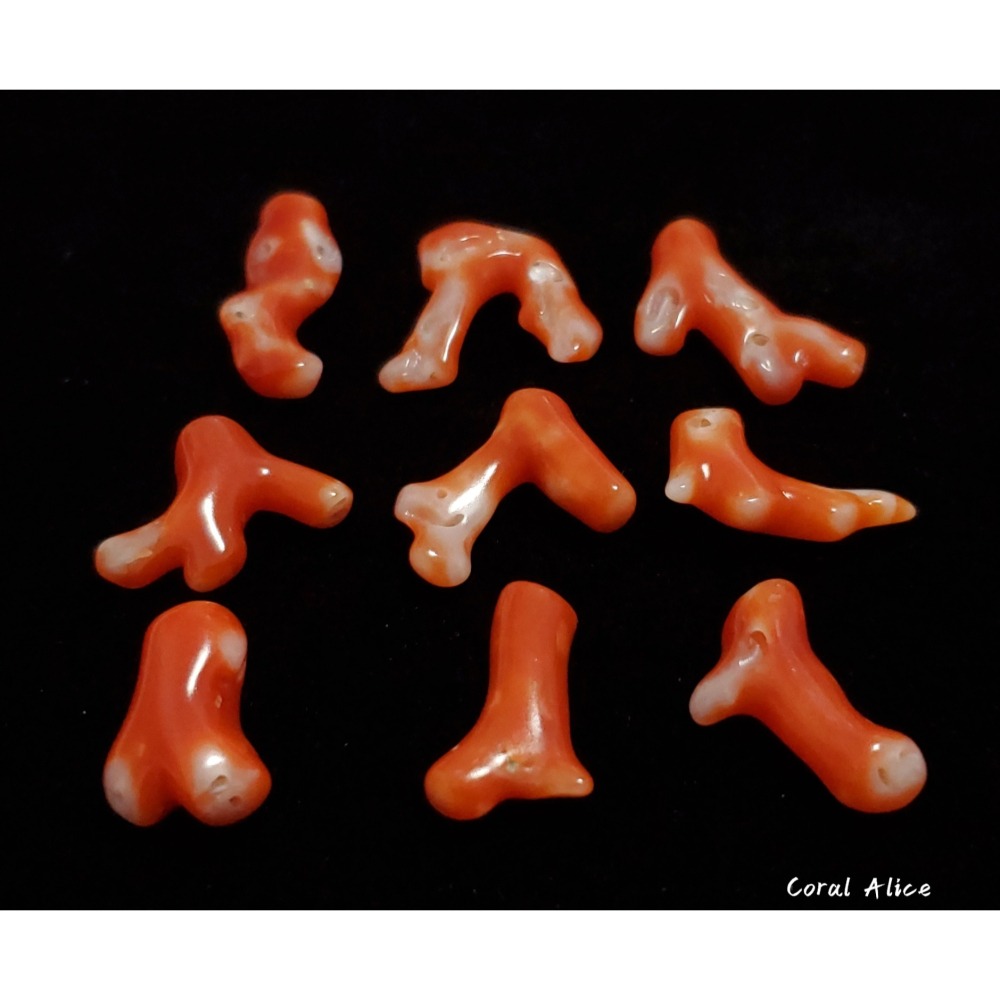 🌟Coral珊寶手作-天然阿卡珊瑚自然枝段 12.5-20.9mm CO2P1-220-細節圖5