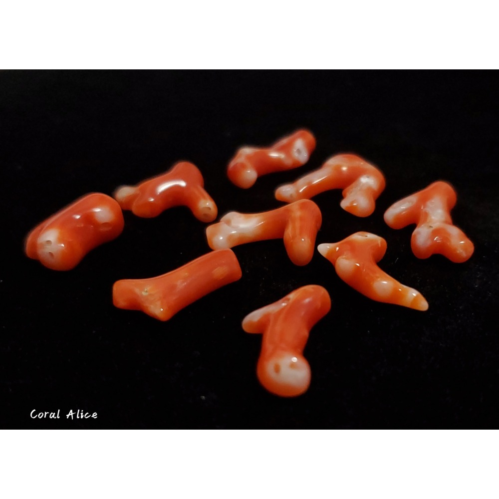 🌟Coral珊寶手作-天然阿卡珊瑚自然枝段 12.5-20.9mm CO2P1-220-細節圖6