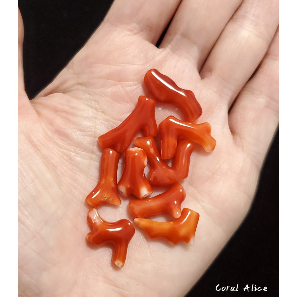 🌟Coral珊寶手作-天然阿卡珊瑚自然枝段 12.5-20.9mm CO2P1-220-細節圖7