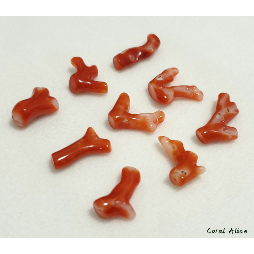 🌟Coral珊寶手作-天然阿卡珊瑚自然枝段 12.5-20.9mm CO2P1-220-細節圖10