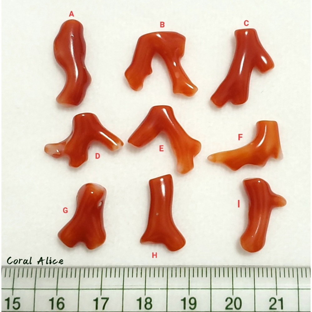 🌟Coral珊寶手作-天然阿卡珊瑚自然枝段 12.5-20.9mm CO2P1-220-細節圖11