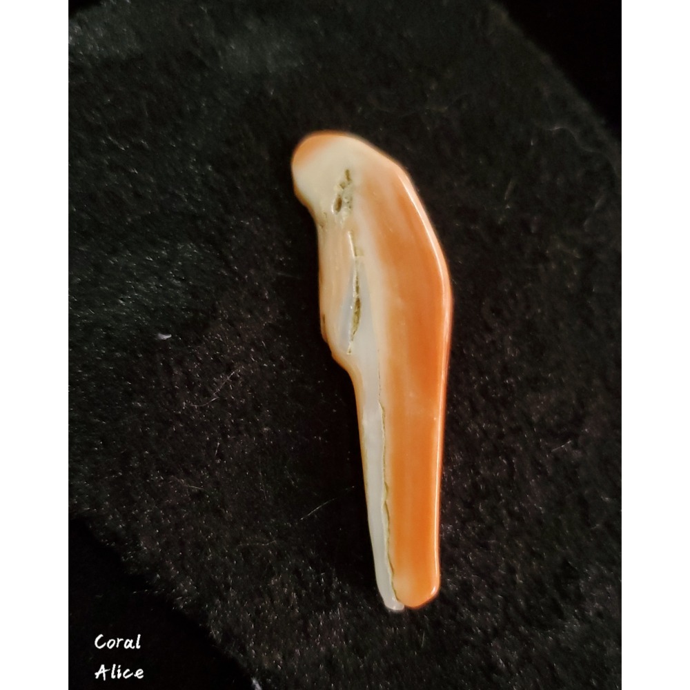 🌟Coral珊寶手作-天然特殊momo珊瑚(無孔)55.6mm CO2P1-519-細節圖2