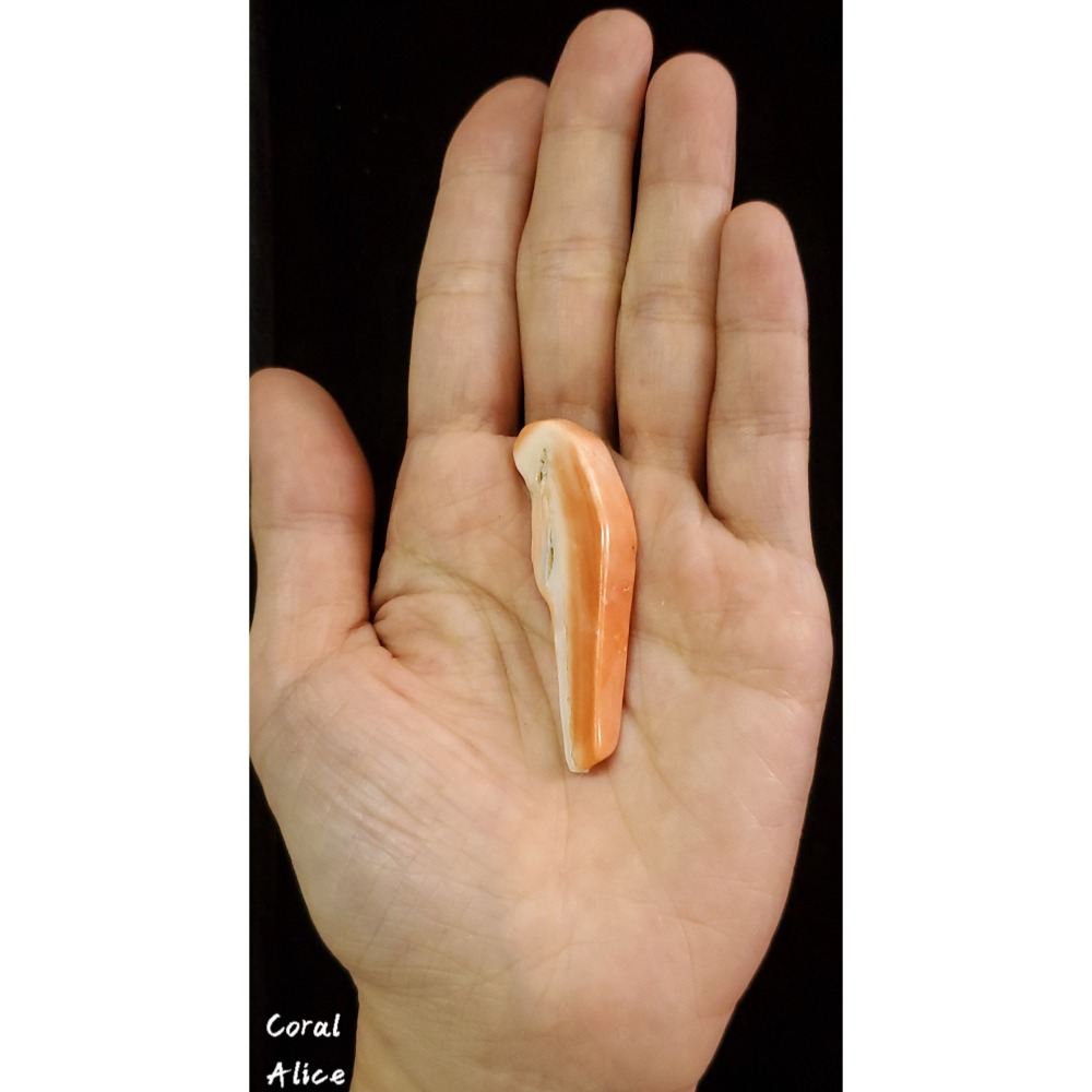 🌟Coral珊寶手作-天然特殊momo珊瑚(無孔)55.6mm CO2P1-519-細節圖3