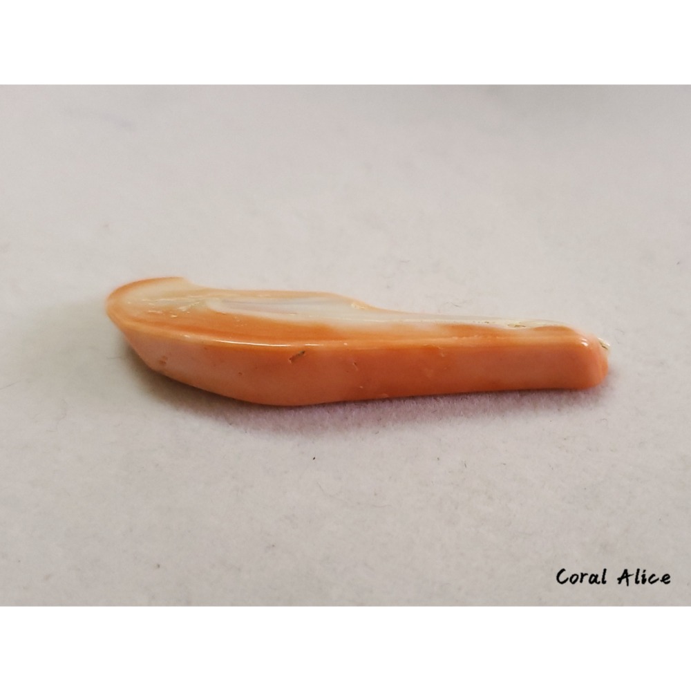🌟Coral珊寶手作-天然特殊momo珊瑚(無孔)55.6mm CO2P1-519-細節圖4
