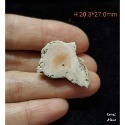 🌟Coral珊寶手作-天然白珊瑚根截座 CO2P1-587-規格圖8