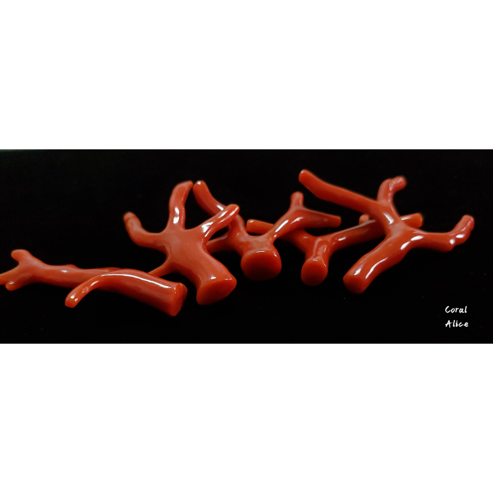 🌟Coral珊寶手作-天然沙丁尼亞/沙丁珊瑚自然枝(無孔) 30.6-46.3mm CO2P1-646-細節圖5