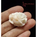 🌟Coral珊寶手作-天然白/粉珊瑚手工雕刻玫瑰花(無孔) 28.0-33mm CO2P1-656-規格圖9