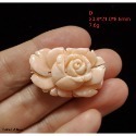 🌟Coral珊寶手作-天然白/粉珊瑚手工雕刻玫瑰花(無孔) 28.0-33mm CO2P1-656-規格圖9
