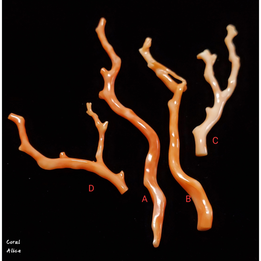 🌟Coral珊寶手作-天然深水珊瑚自然枝 56.8-110.2mm CO2P1-660-細節圖5