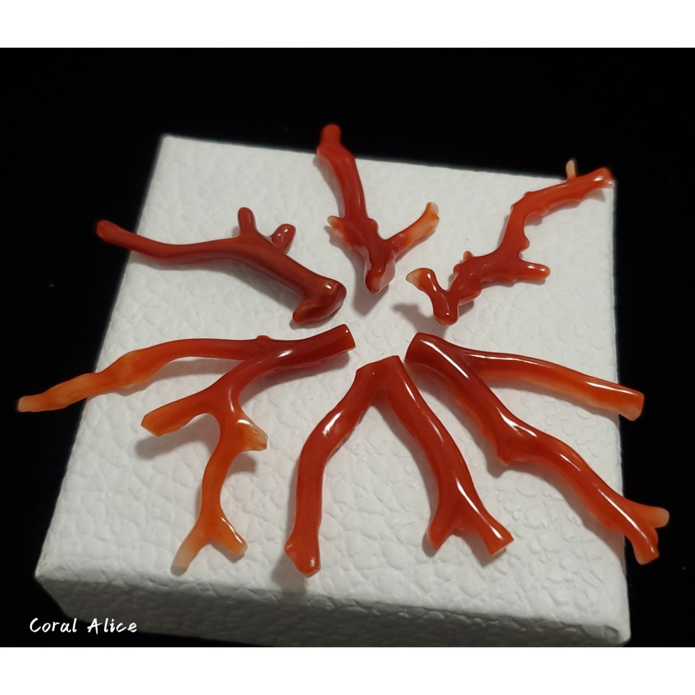 🌟Coral珊寶手作-天然阿卡珊瑚自然枝(無孔) 28.1-47.0mm CO2P1-254-細節圖2