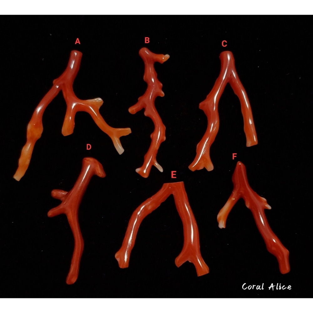 🌟Coral珊寶手作-天然阿卡珊瑚自然枝(無孔) 28.1-47.0mm CO2P1-254-細節圖3