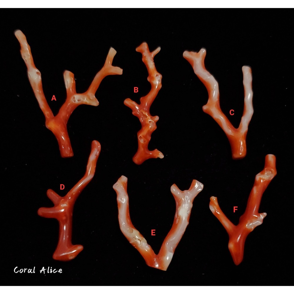 🌟Coral珊寶手作-天然阿卡珊瑚自然枝(無孔) 28.1-47.0mm CO2P1-254-細節圖4