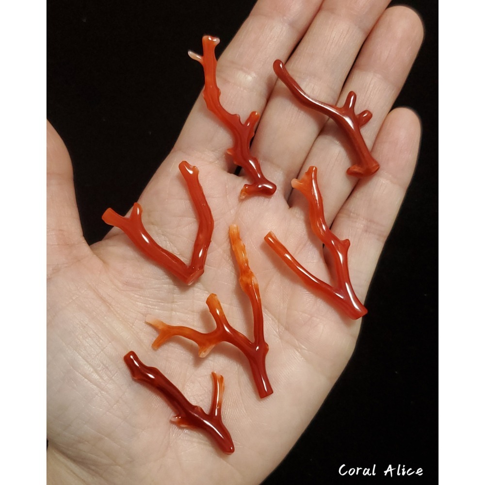 🌟Coral珊寶手作-天然阿卡珊瑚自然枝(無孔) 28.1-47.0mm CO2P1-254-細節圖7