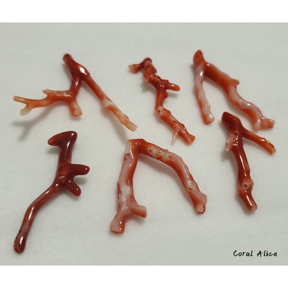 🌟Coral珊寶手作-天然阿卡珊瑚自然枝(無孔) 28.1-47.0mm CO2P1-254-細節圖9