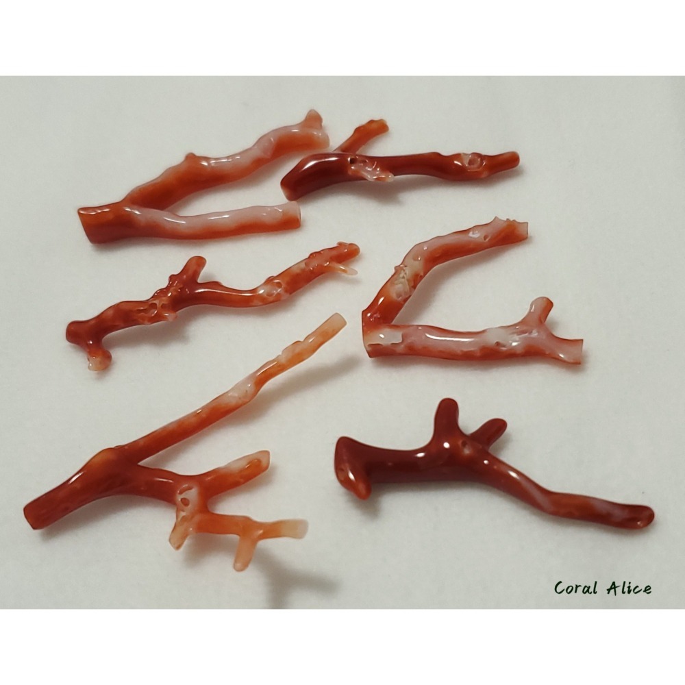 🌟Coral珊寶手作-天然阿卡珊瑚自然枝(無孔) 28.1-47.0mm CO2P1-254-細節圖10