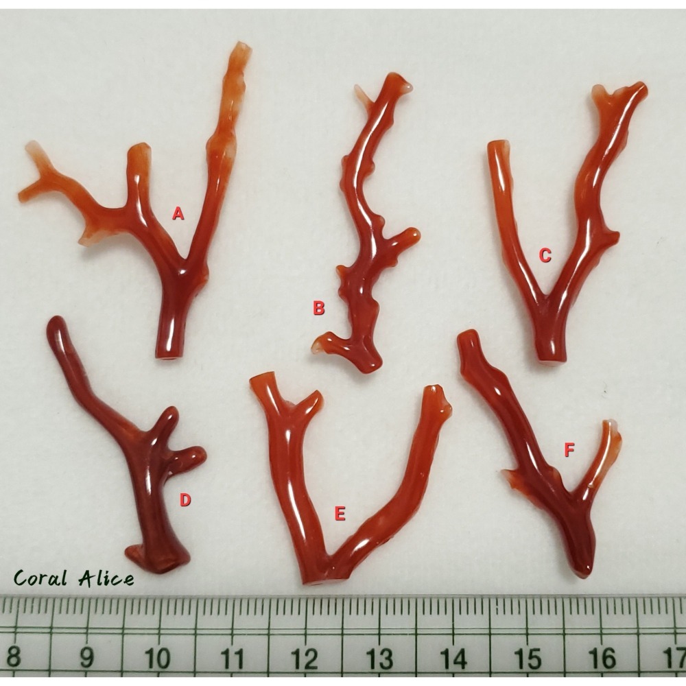 🌟Coral珊寶手作-天然阿卡珊瑚自然枝(無孔) 28.1-47.0mm CO2P1-254-細節圖11
