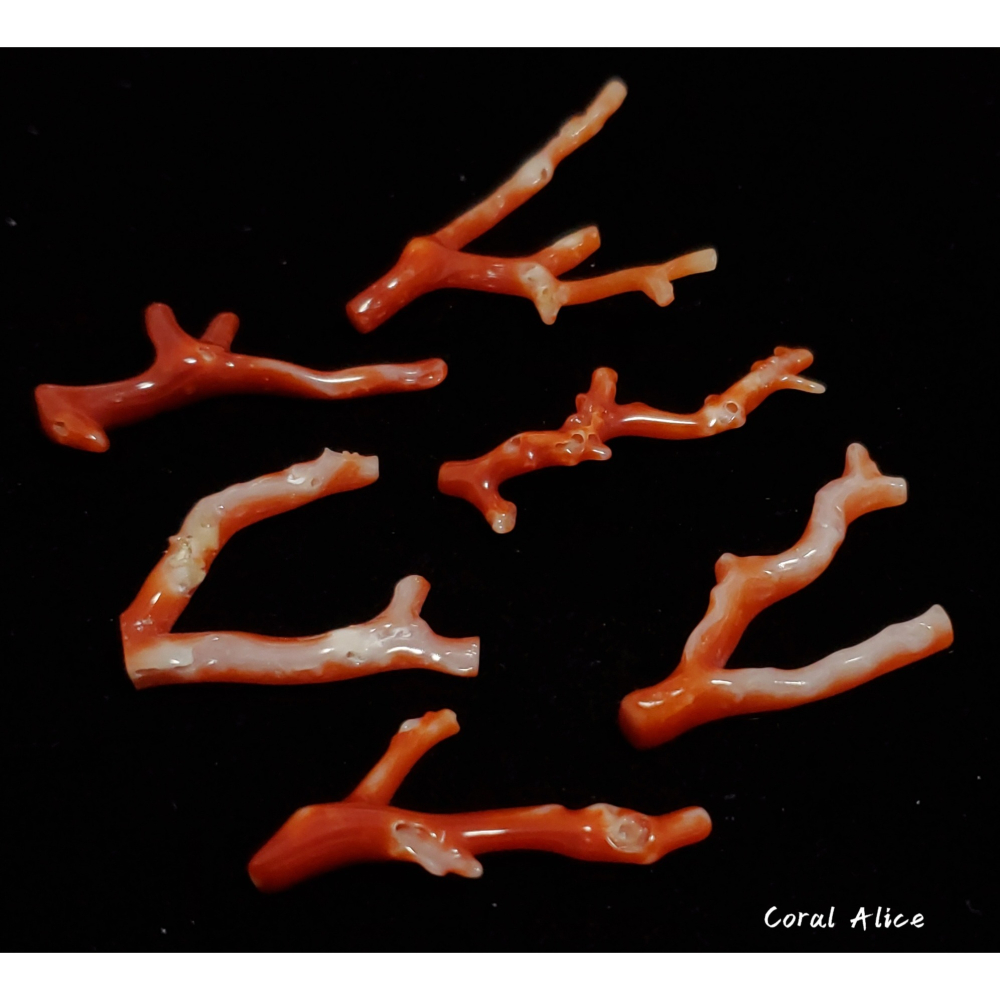 🌟Coral珊寶手作-天然阿卡珊瑚自然枝(無孔) 28.1-47.0mm CO2P1-254-細節圖6