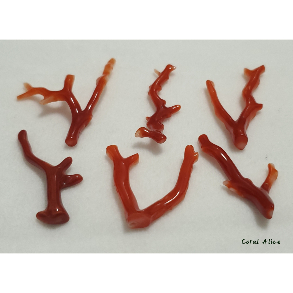 🌟Coral珊寶手作-天然阿卡珊瑚自然枝(無孔) 28.1-47.0mm CO2P1-254-細節圖8