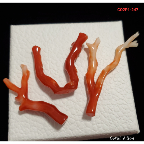 🌟Coral珊寶手作-天然阿卡珊瑚/紅珊瑚自然枝(無孔) 34.7-60.9mm CO2P1-247