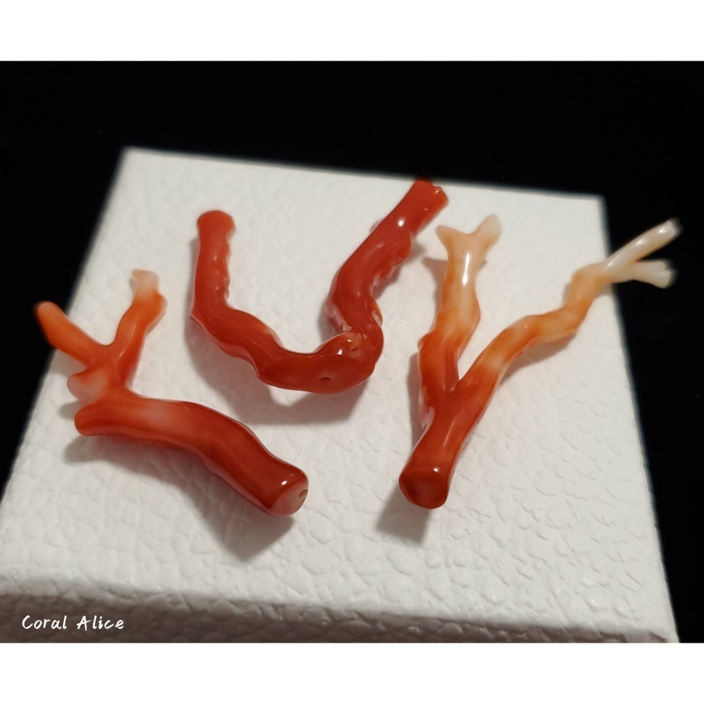 🌟Coral珊寶手作-天然阿卡珊瑚/紅珊瑚自然枝(無孔) 34.7-60.9mm CO2P1-247-細節圖2
