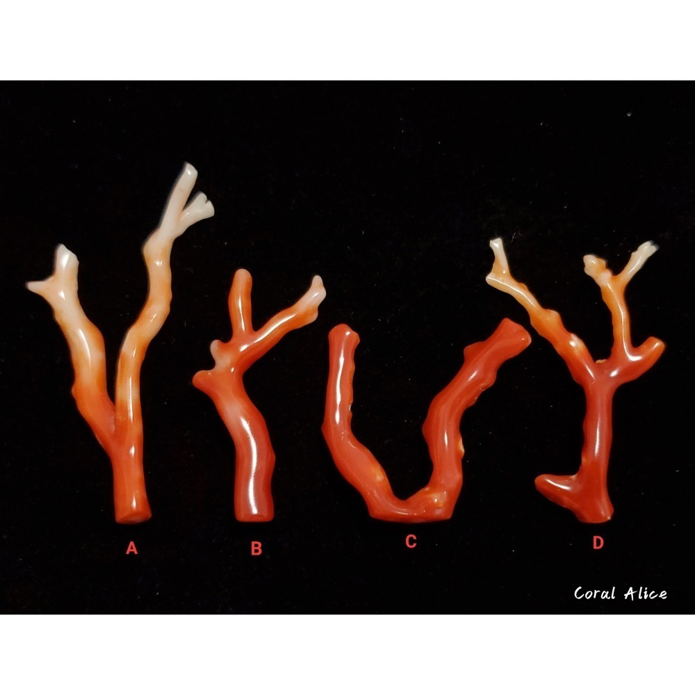 🌟Coral珊寶手作-天然阿卡珊瑚/紅珊瑚自然枝(無孔) 34.7-60.9mm CO2P1-247-細節圖3