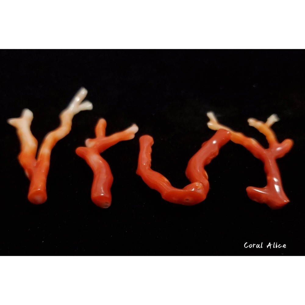🌟Coral珊寶手作-天然阿卡珊瑚/紅珊瑚自然枝(無孔) 34.7-60.9mm CO2P1-247-細節圖4