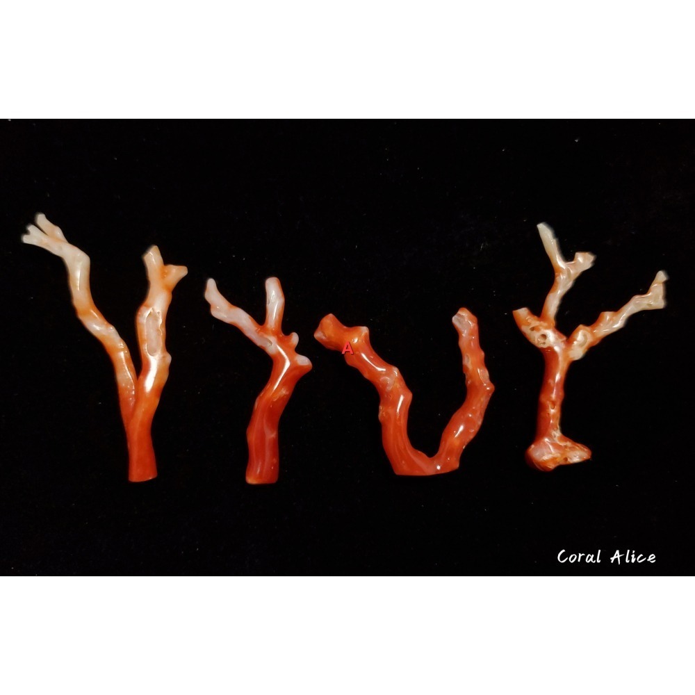 🌟Coral珊寶手作-天然阿卡珊瑚/紅珊瑚自然枝(無孔) 34.7-60.9mm CO2P1-247-細節圖5