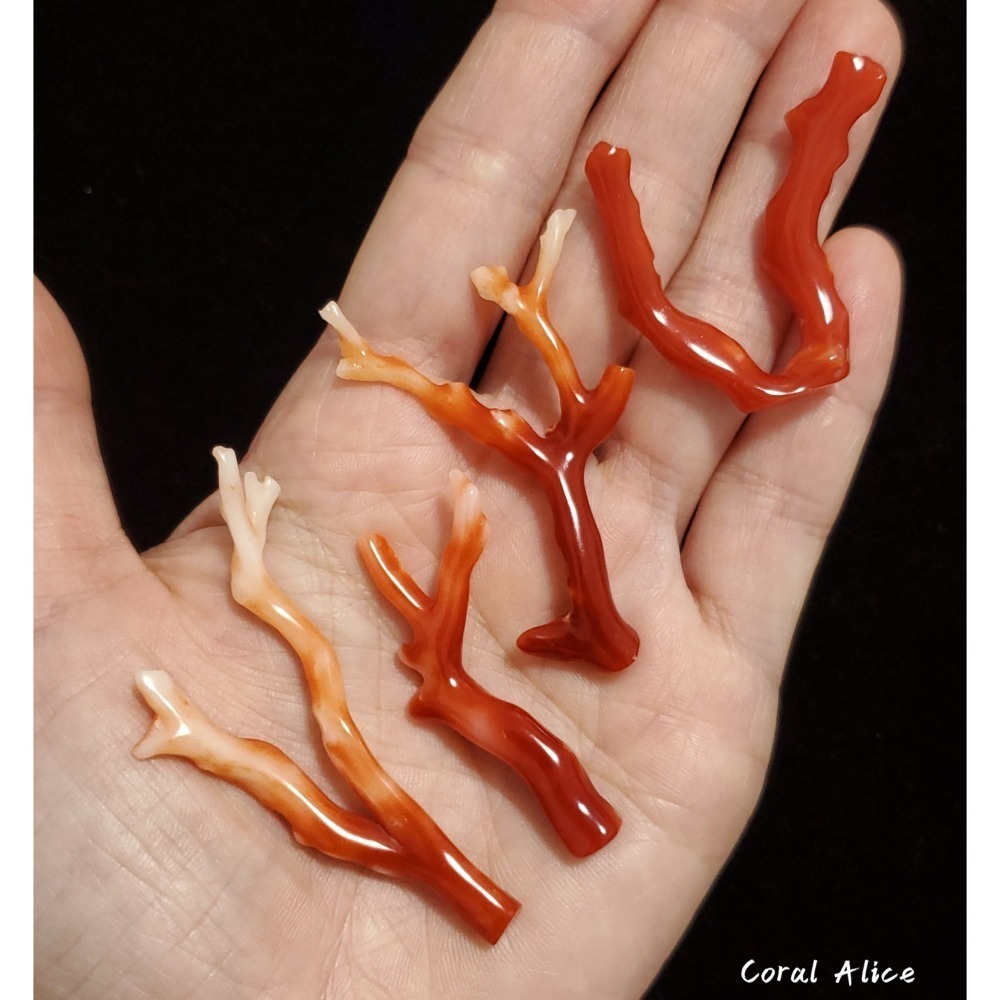 🌟Coral珊寶手作-天然阿卡珊瑚/紅珊瑚自然枝(無孔) 34.7-60.9mm CO2P1-247-細節圖6
