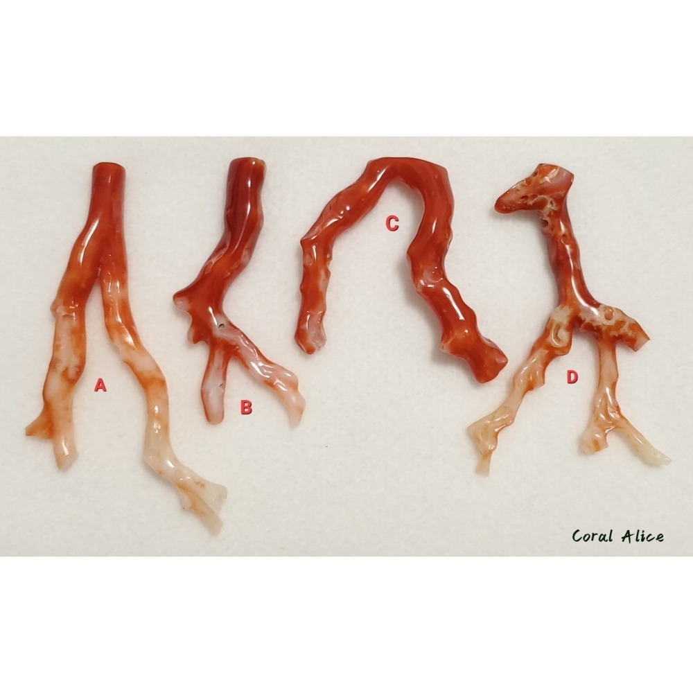 🌟Coral珊寶手作-天然阿卡珊瑚/紅珊瑚自然枝(無孔) 34.7-60.9mm CO2P1-247-細節圖7