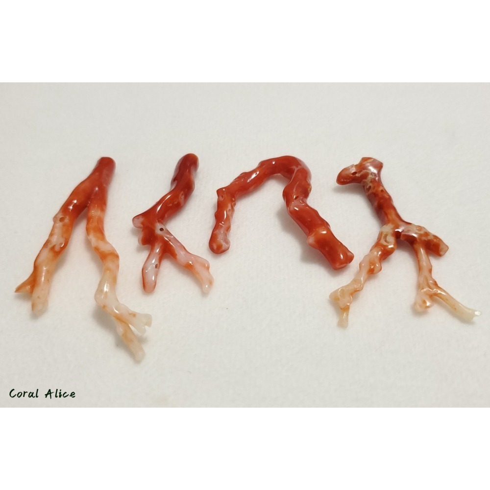 🌟Coral珊寶手作-天然阿卡珊瑚/紅珊瑚自然枝(無孔) 34.7-60.9mm CO2P1-247-細節圖8