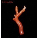 🌟Coral珊寶手作-天然阿卡珊瑚/紅珊瑚自然枝(無孔) 34.7-60.9mm CO2P1-247-規格圖10