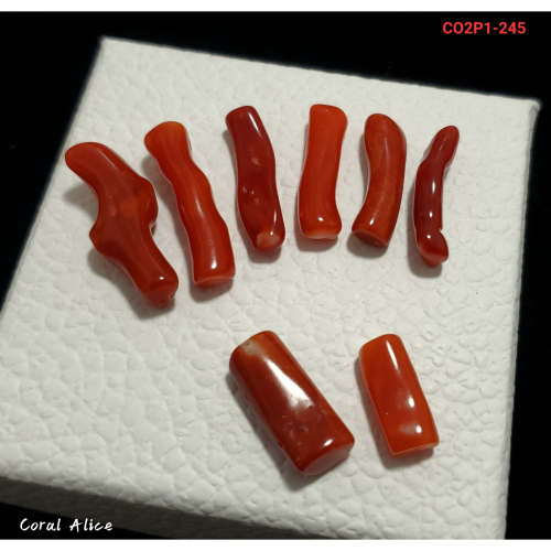 🌟Coral珊寶手作-天然阿卡珊瑚/紅珊瑚自然枝段(無孔) 15.7-27.1mm CO2P1-245