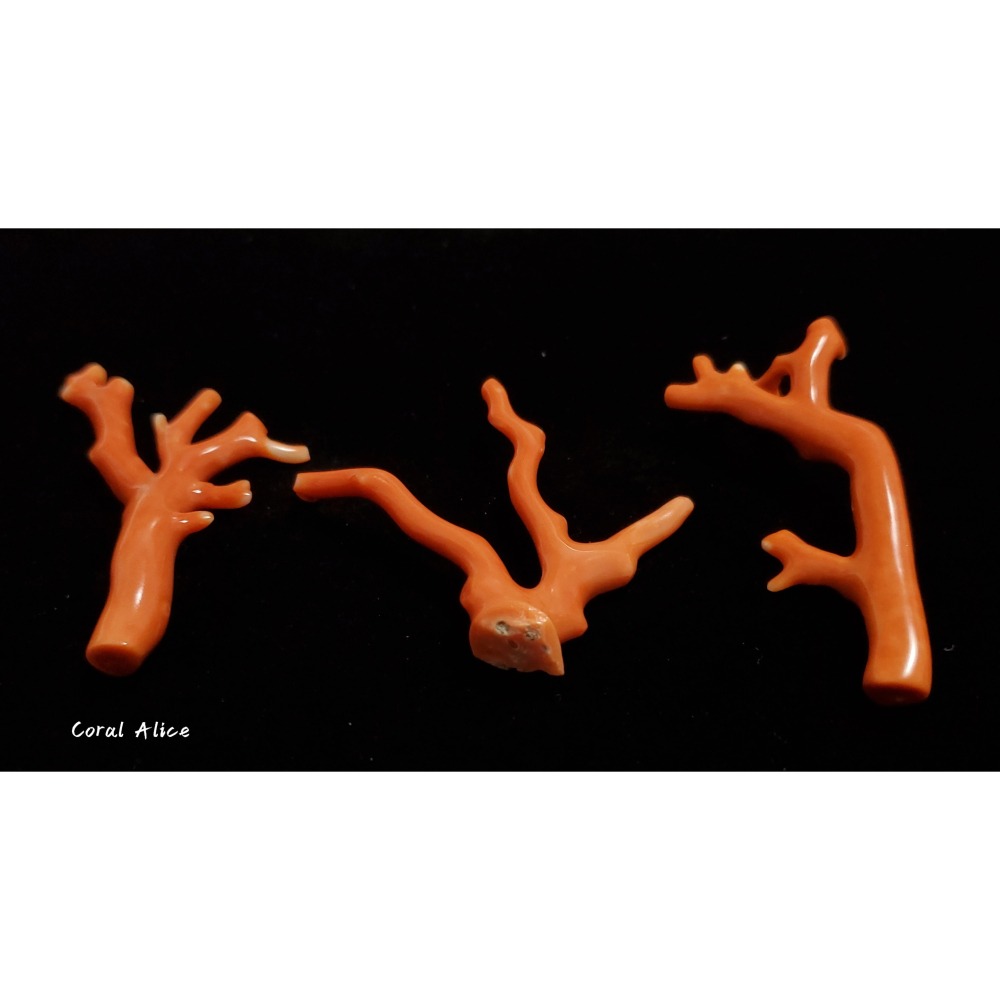 🌟Coral珊寶手作-天然momo珊瑚/莫莫珊瑚自然枝 59.0-72.7mm CO2P1-244-細節圖4