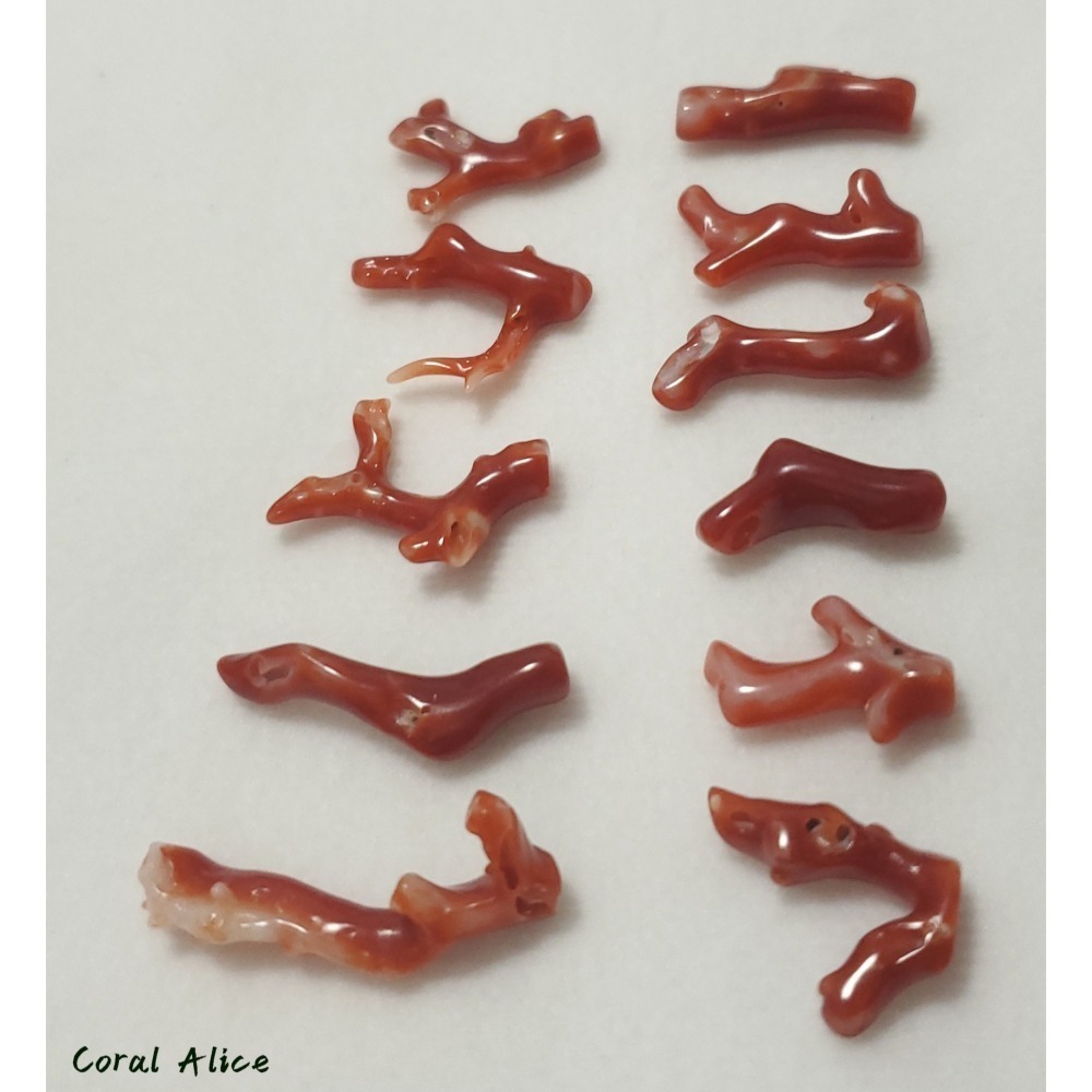 🌟Coral珊寶手作-天然阿卡珊瑚自然枝(無孔) 17.2-30.8mm CO2P1-236-細節圖9