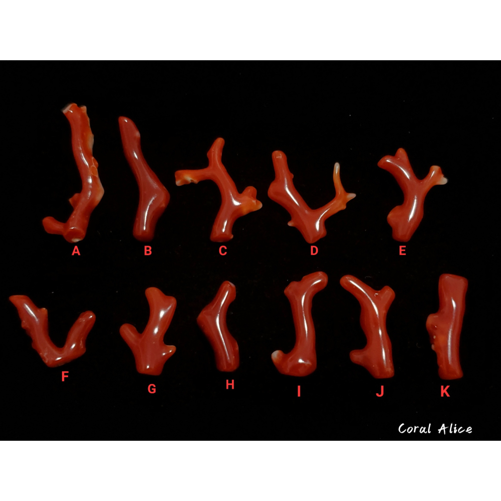 🌟Coral珊寶手作-天然阿卡珊瑚自然枝(無孔) 17.2-30.8mm CO2P1-236-細節圖2