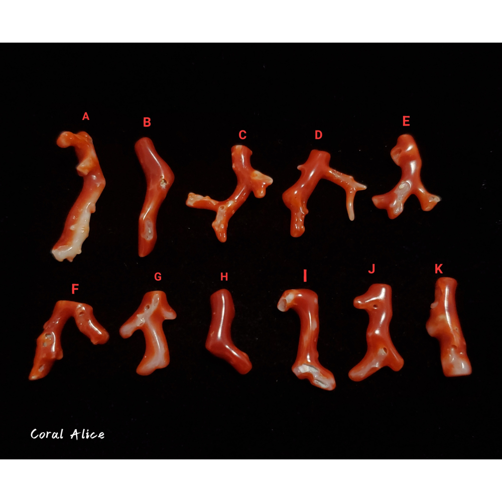 🌟Coral珊寶手作-天然阿卡珊瑚自然枝(無孔) 17.2-30.8mm CO2P1-236-細節圖5